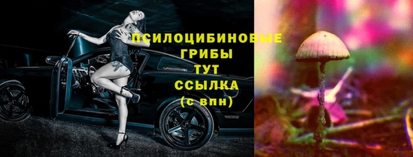 apvp Горнозаводск