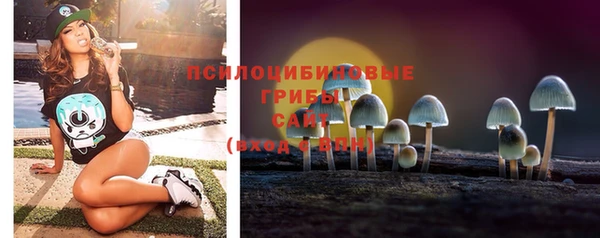 apvp Горнозаводск