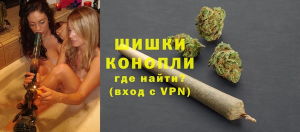 не бодяженный Горно-Алтайск