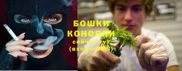 не бодяженный Горно-Алтайск