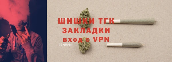 не бодяженный Горно-Алтайск