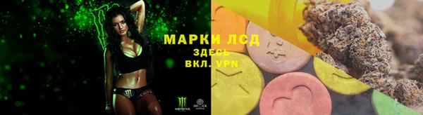 apvp Горнозаводск