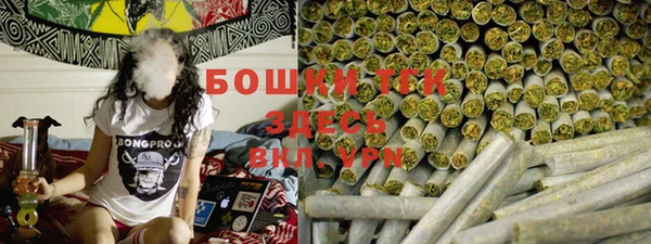 apvp Горнозаводск