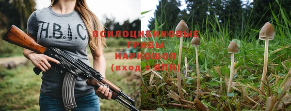 не бодяженный Горно-Алтайск