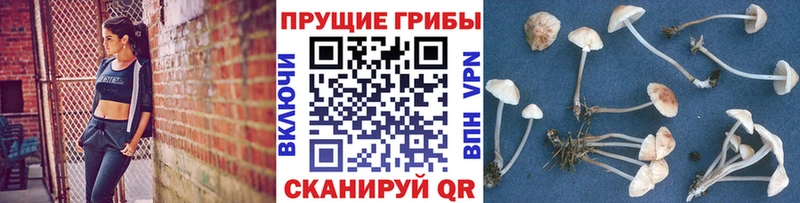Псилоцибиновые грибы MAGIC MUSHROOMS маркетплейс какой сайт Омутнинск